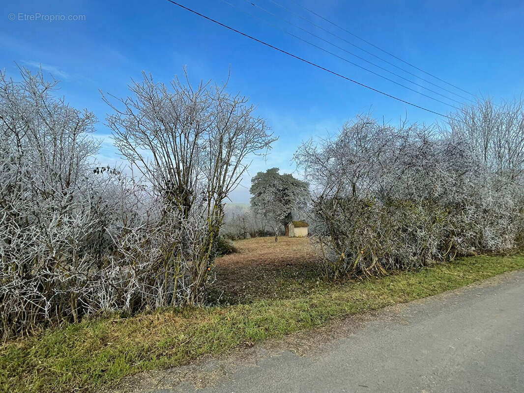 Terrain à MONT-SAINT-SULPICE
