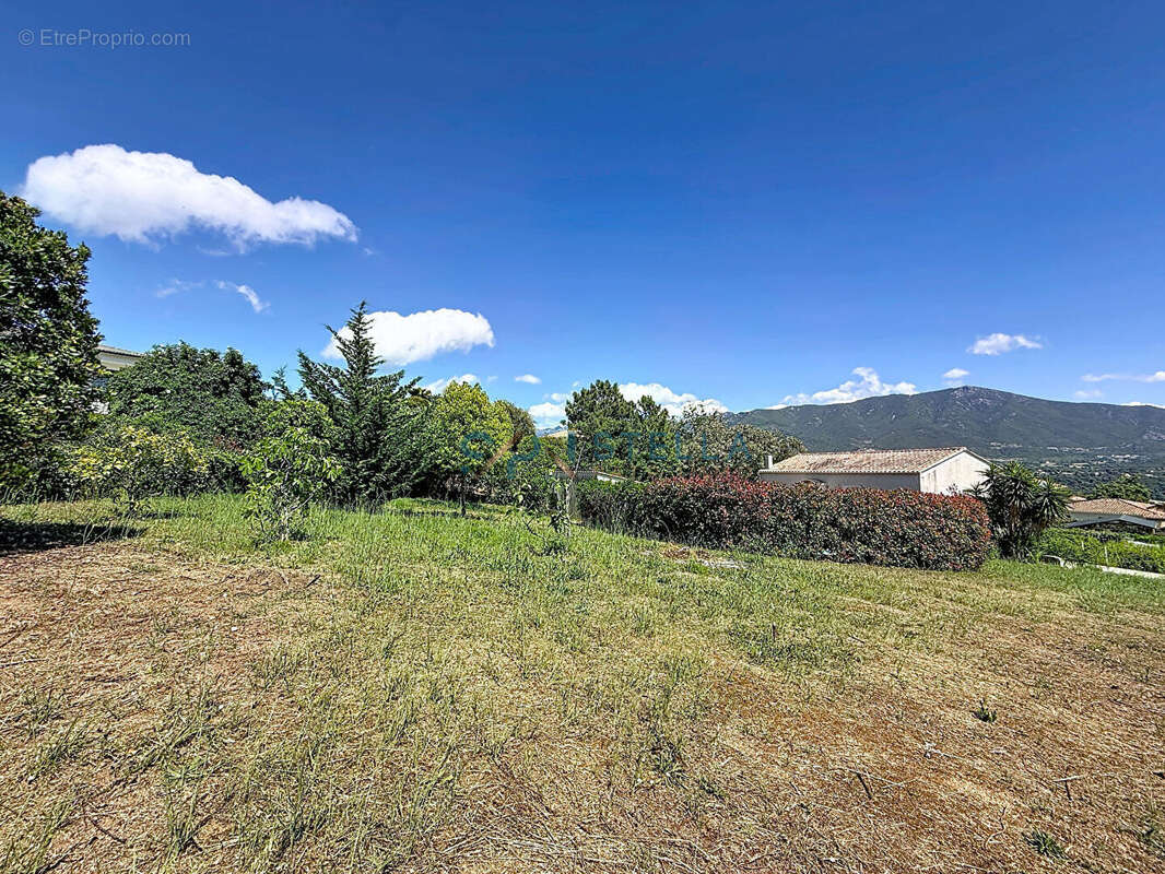 AFA, Maison familiale avec piscine, T2 indépendant et 1 990 m² de terrain - photo 13