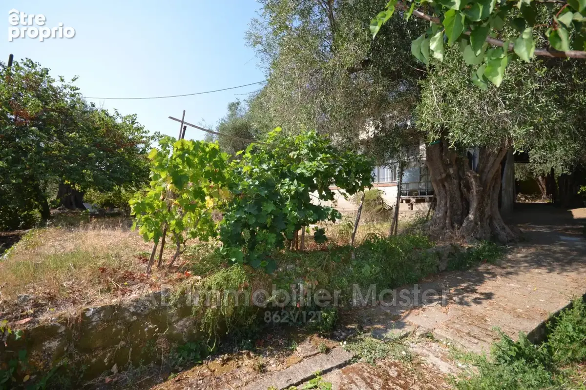 Terrain 1 298 m² à vendre à Vallauris (06220) - photo 8