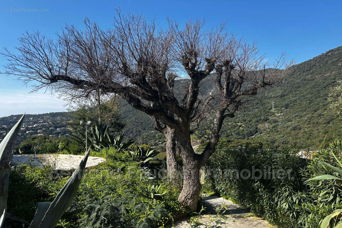 Maison à CAVALAIRE-SUR-MER
