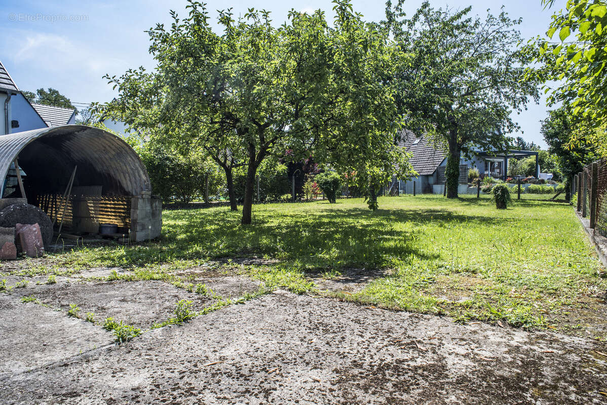 Maison à LA WANTZENAU