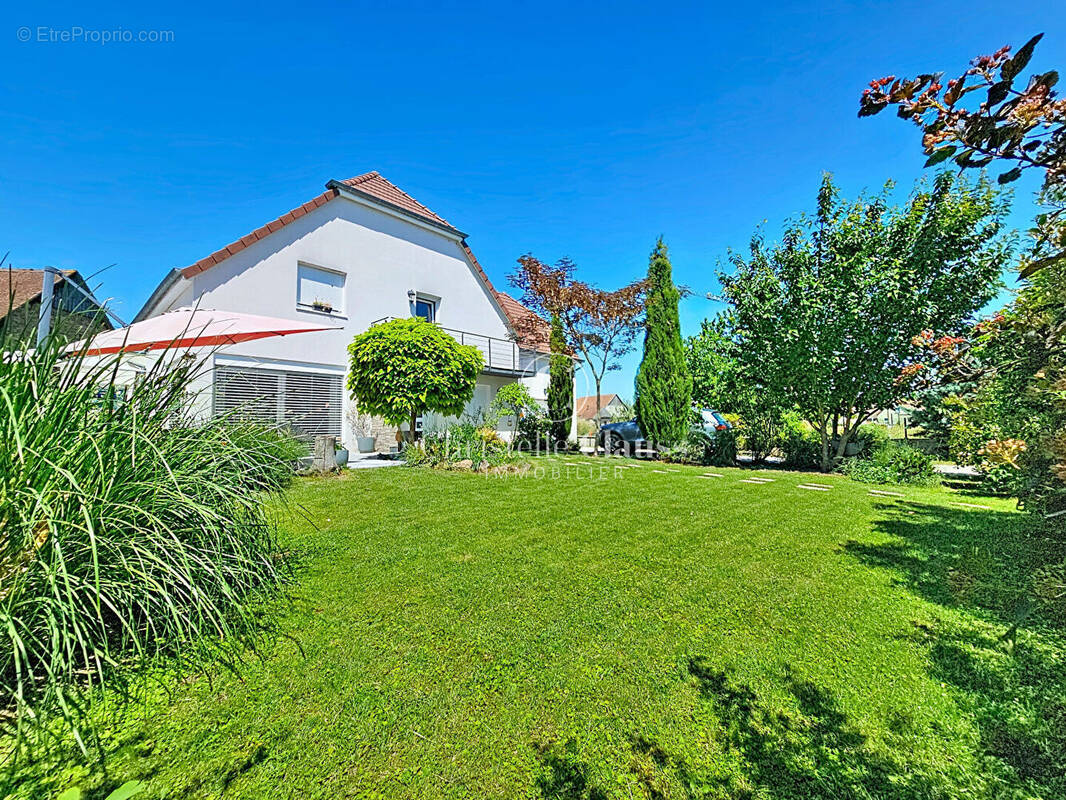 Maison à ILLHAEUSERN
