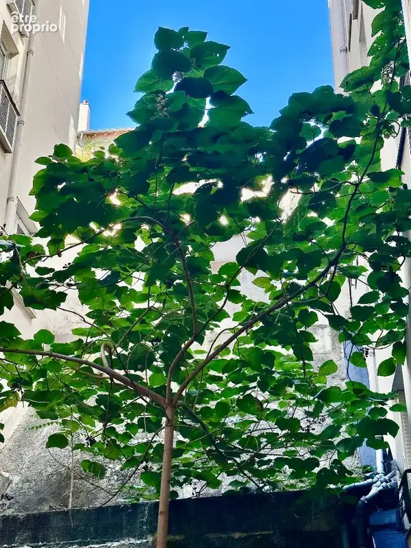 Appartement 24m² à paris 19e arrondissement - photo 4
