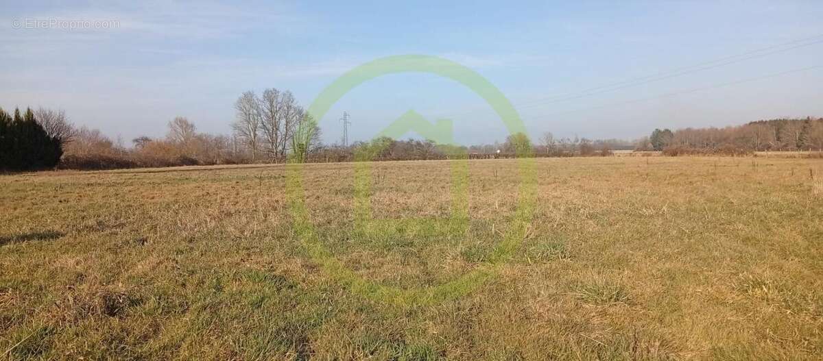 Maison à SAINT-BONNET-EN-BRESSE