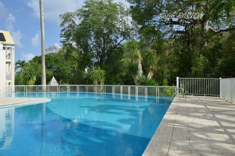 LE DIAMANT (972) - Baisse de prix Proche Plage Appartement T1 (31m2) + Terrasse - Piscine - Parc - 31 m2 + Terrasse - photo 13
