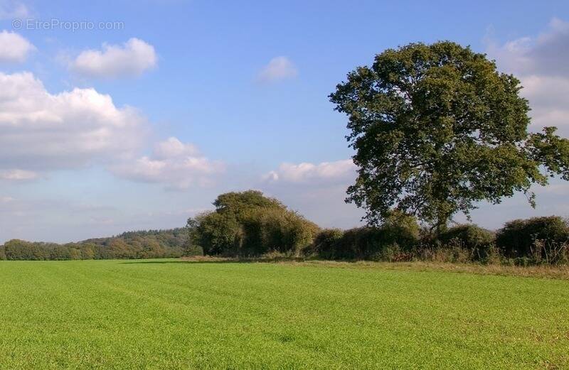 Terrain à SAINT-LEGER-EN-YVELINES