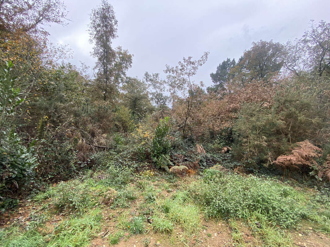 Terrain à SAINT-GILDAS-DES-BOIS