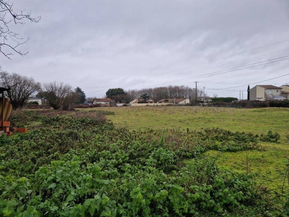 Terrain à AMBARES-ET-LAGRAVE