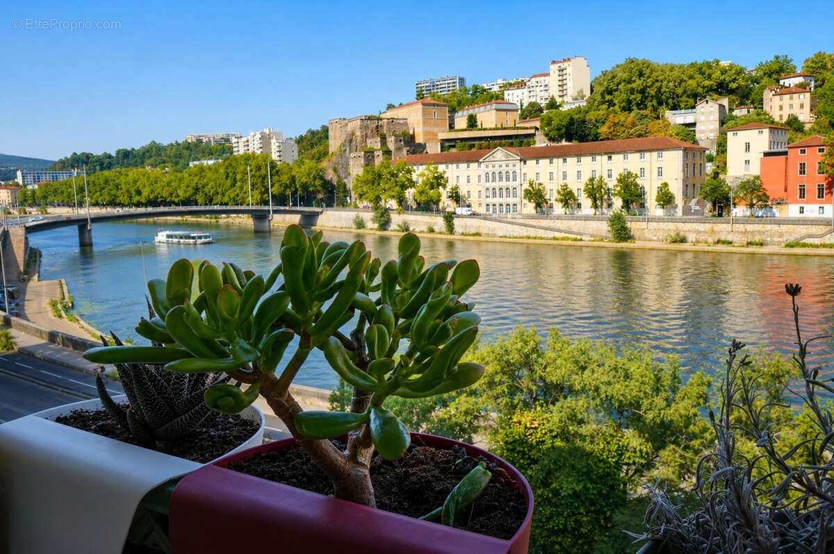 Appartement à vendre 2 pièces LYON 9EME ARRONDISSEMENT (69) - Quai de Scize - Front de Saone - photo 10