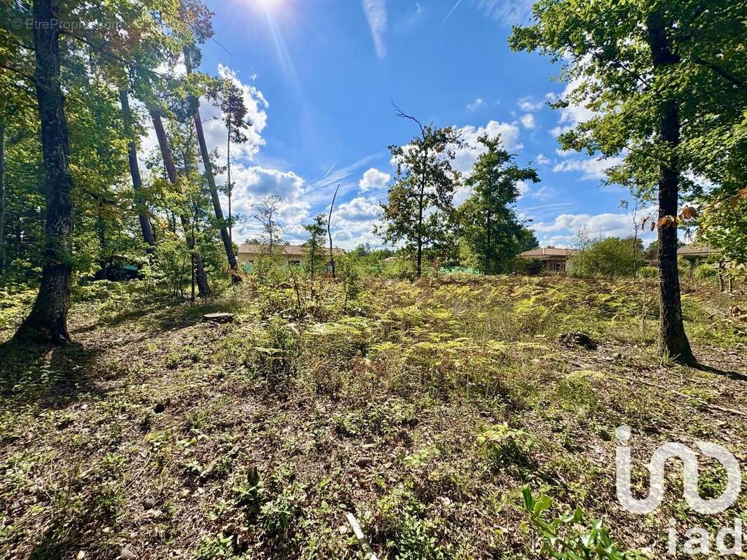 Photo 2 - Terrain à MARSAC-SUR-L'ISLE