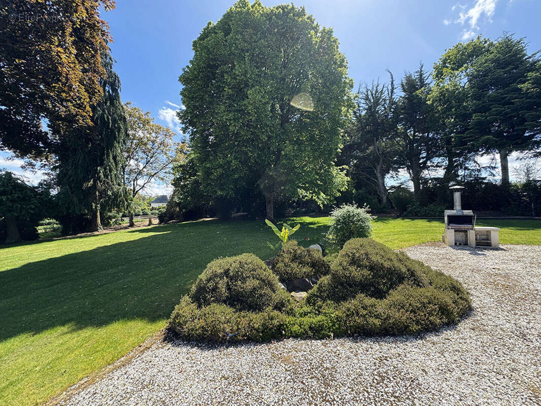 Maison à PLAINE-HAUTE