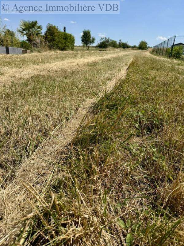 Terrain de 1024 m²  m² - photo 3