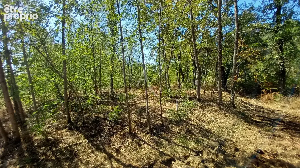 Photo Terrain à Sainte-Foy au prix de 103 000€