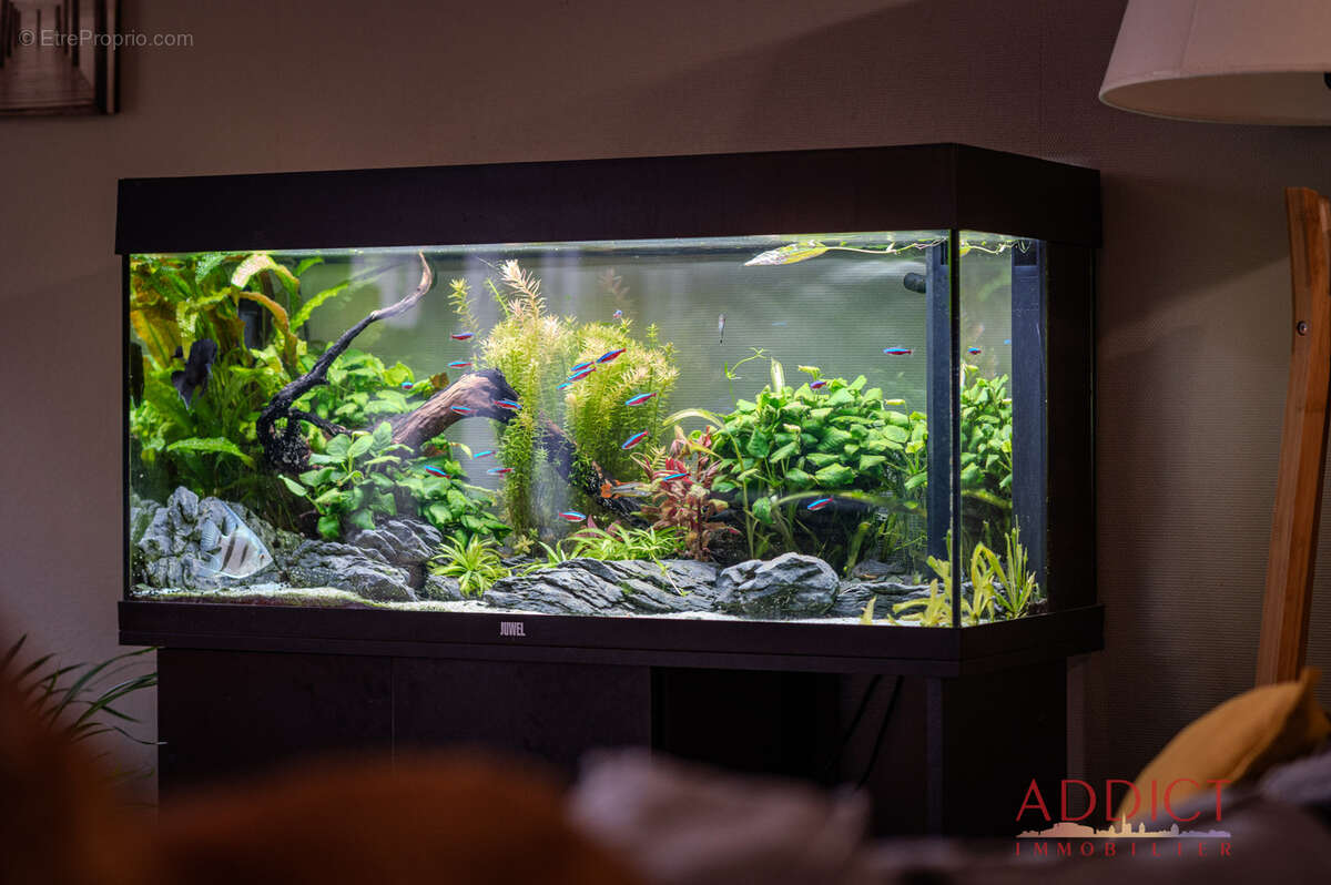 Maison à SCHILTIGHEIM