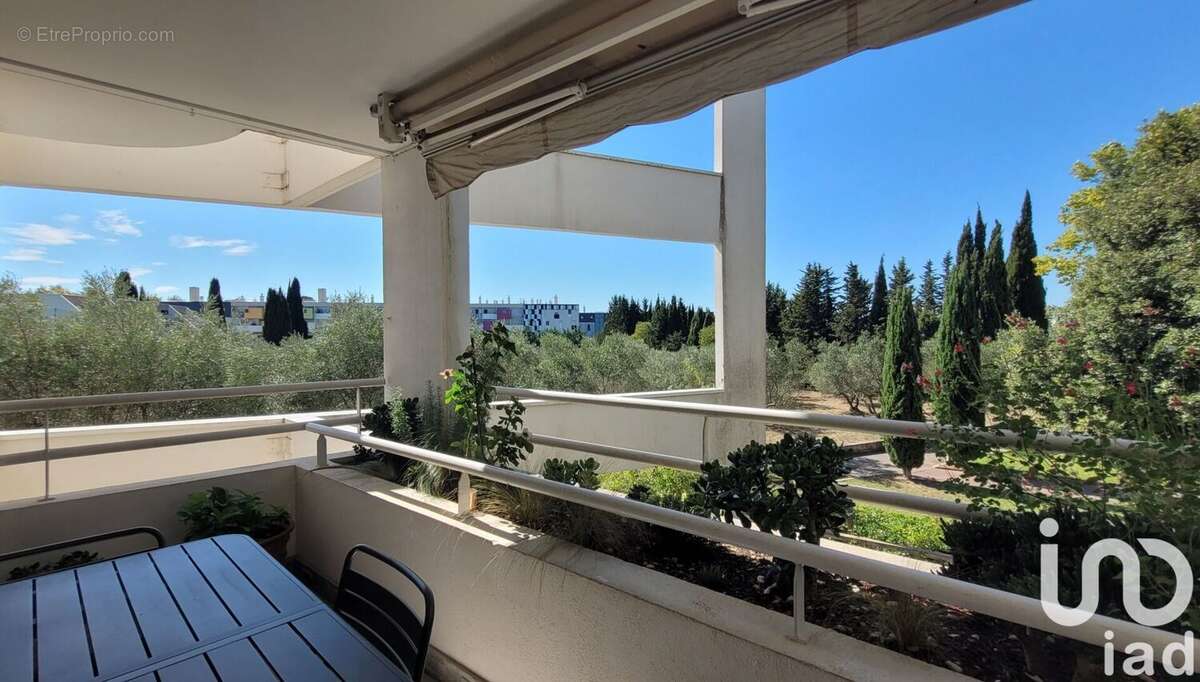 Photo 4 - Appartement à MONTPELLIER