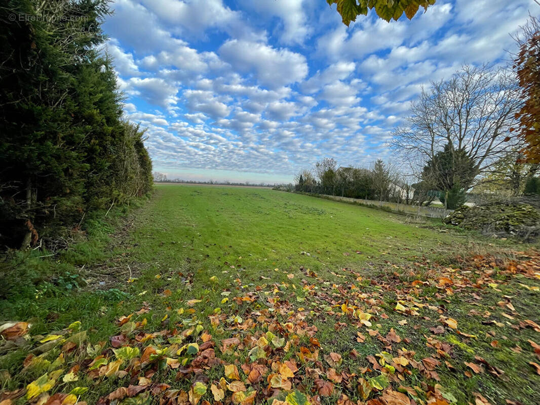 Terrain à LA CHAPELLE-LA-REINE