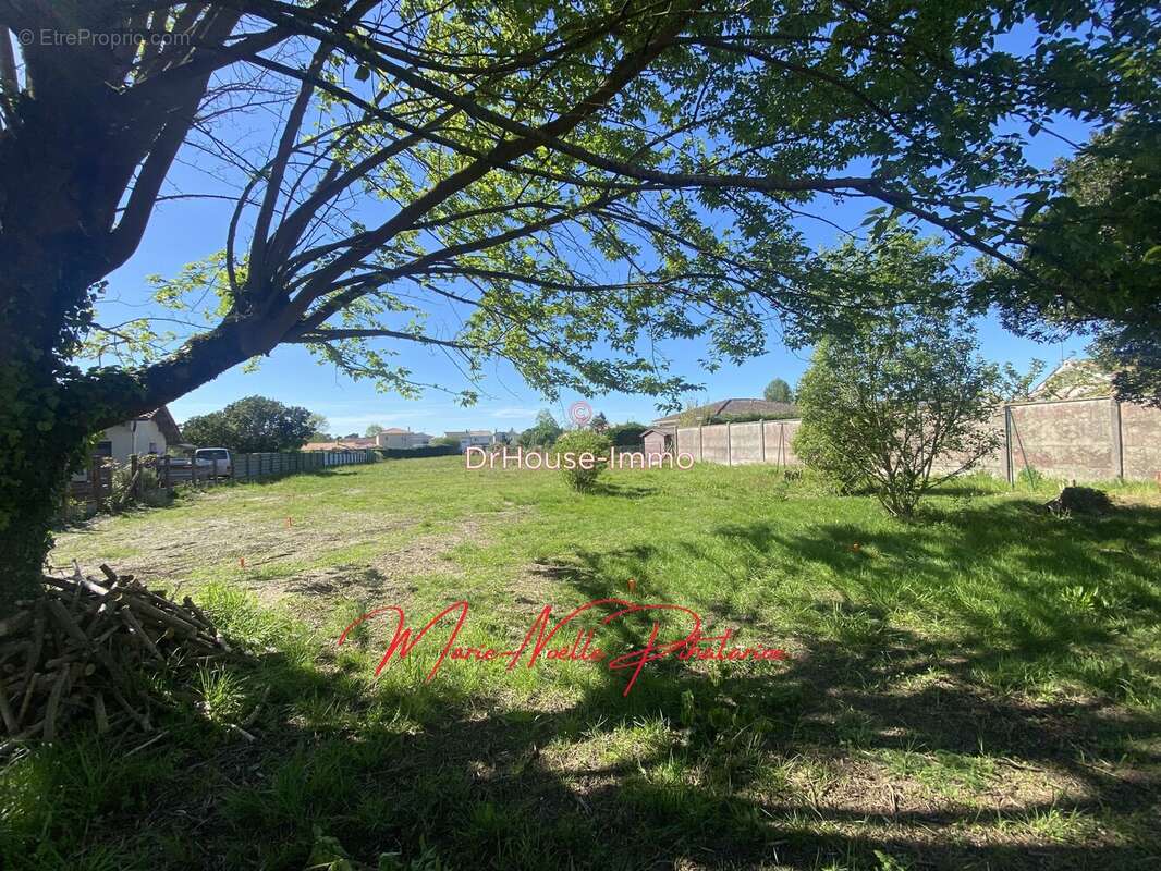 Terrain à SAINT-MEDARD-EN-JALLES