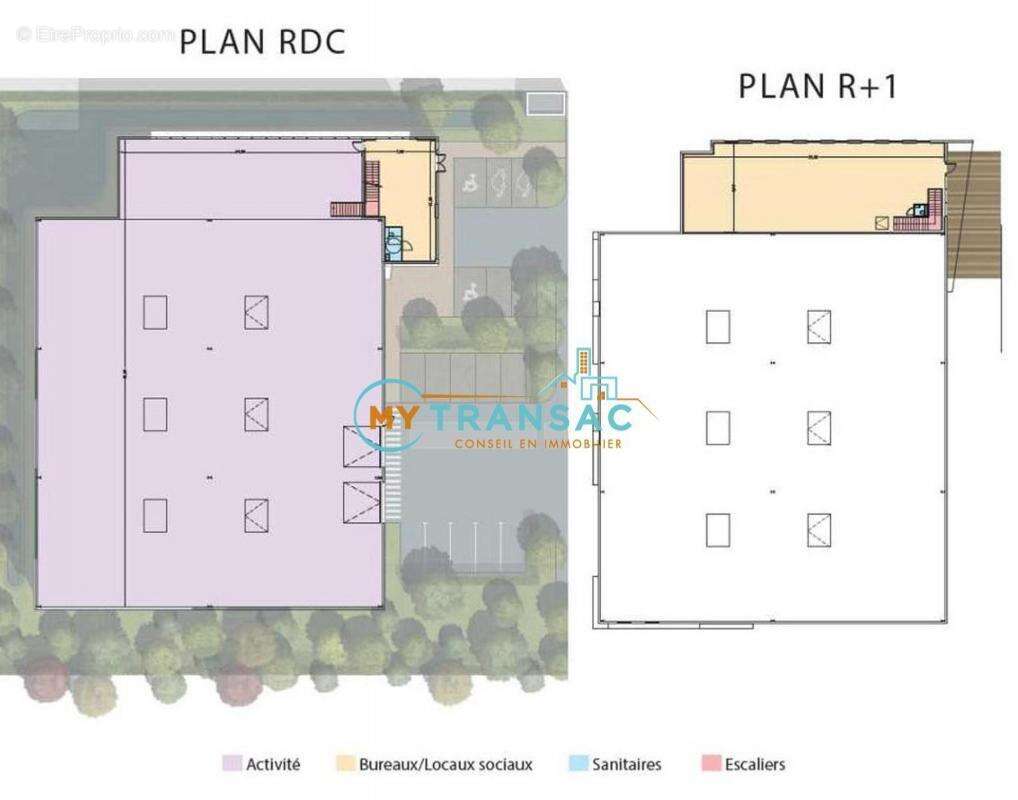 Commerce 502 m² à Bondoufle  - photo 6
