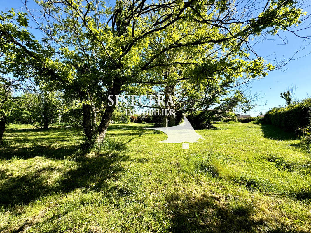 Commerce à LA ROCHE-CHALAIS