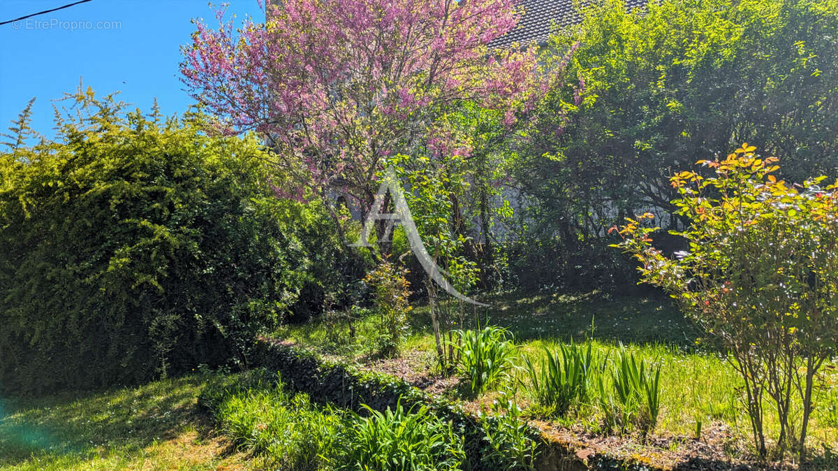 Maison à BLANQUEFORT-SUR-BRIOLANCE