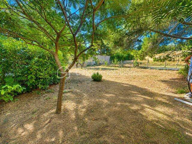 Maison de village - garage - hangars - cave - jardin - piscine - photo 7