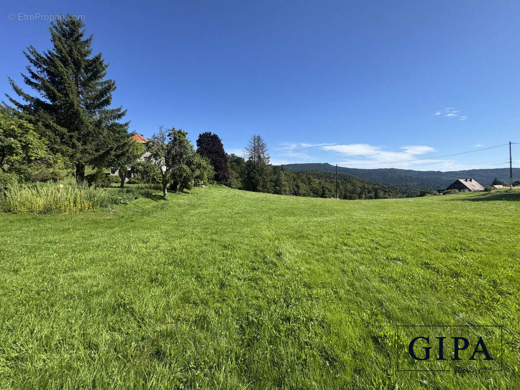 Terrain à LE HOHWALD