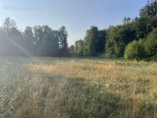 Terrain 7720 m² à Montrond  - photo 2