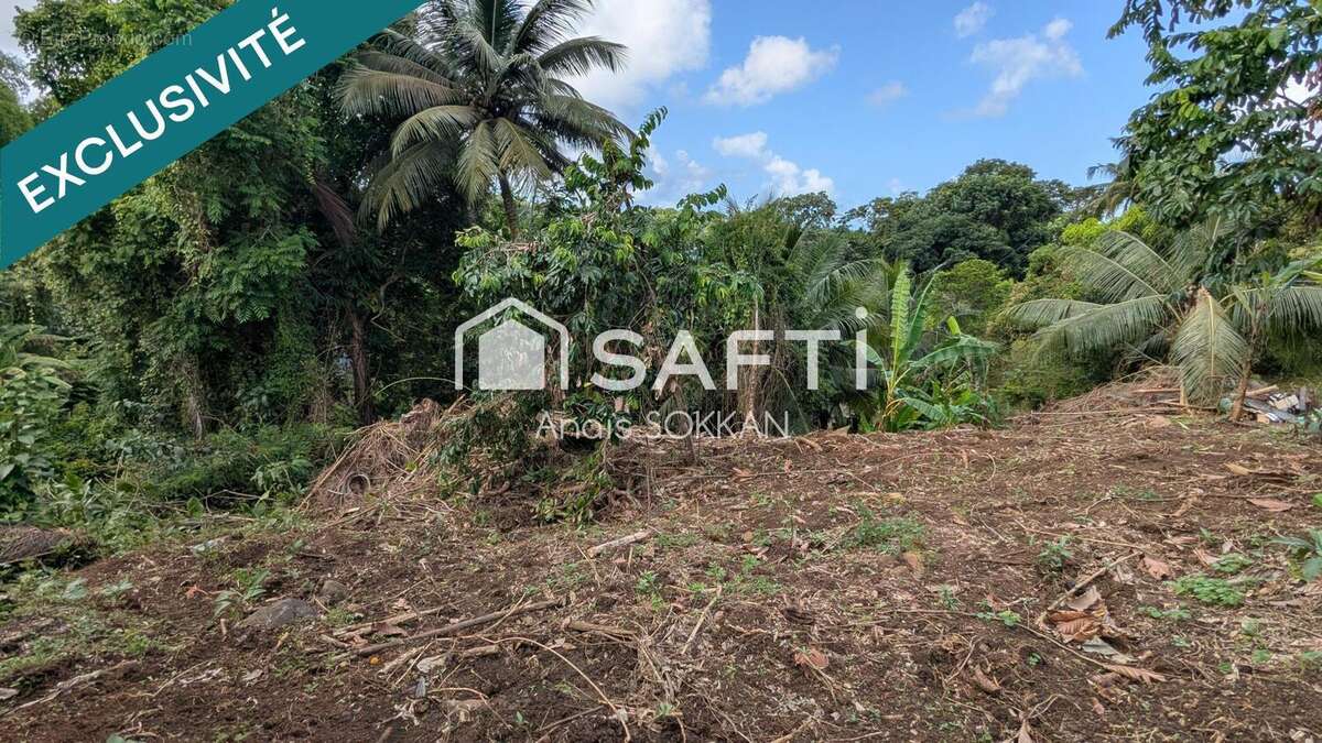 Photo 6 - Terrain à RIVIERE-SALEE