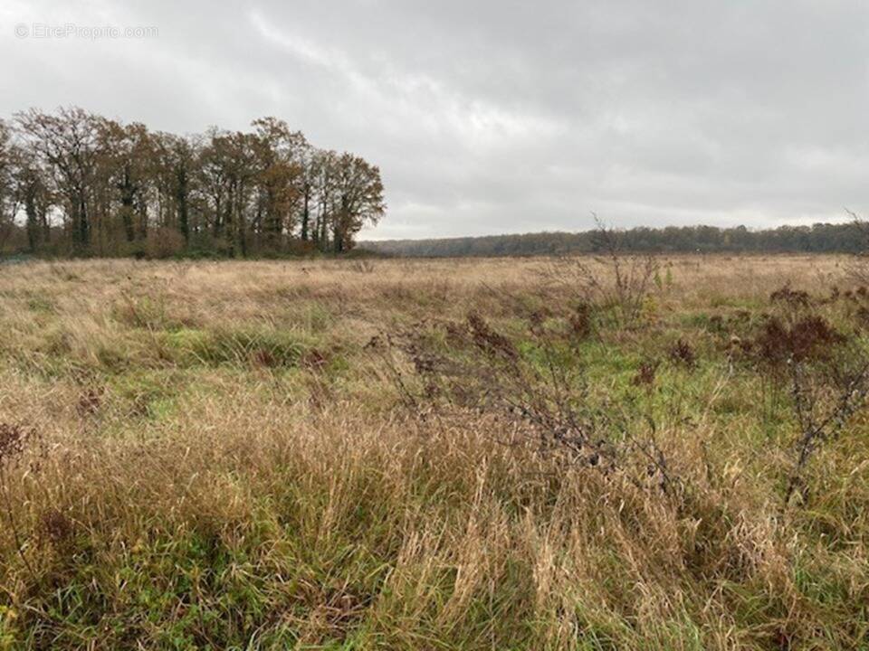 Terrain à SENLIS
