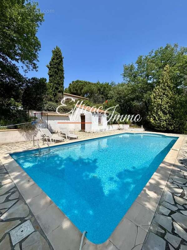 Villa T7 vue sur le Canigou sur 25 700m2 de terrain - photo 18