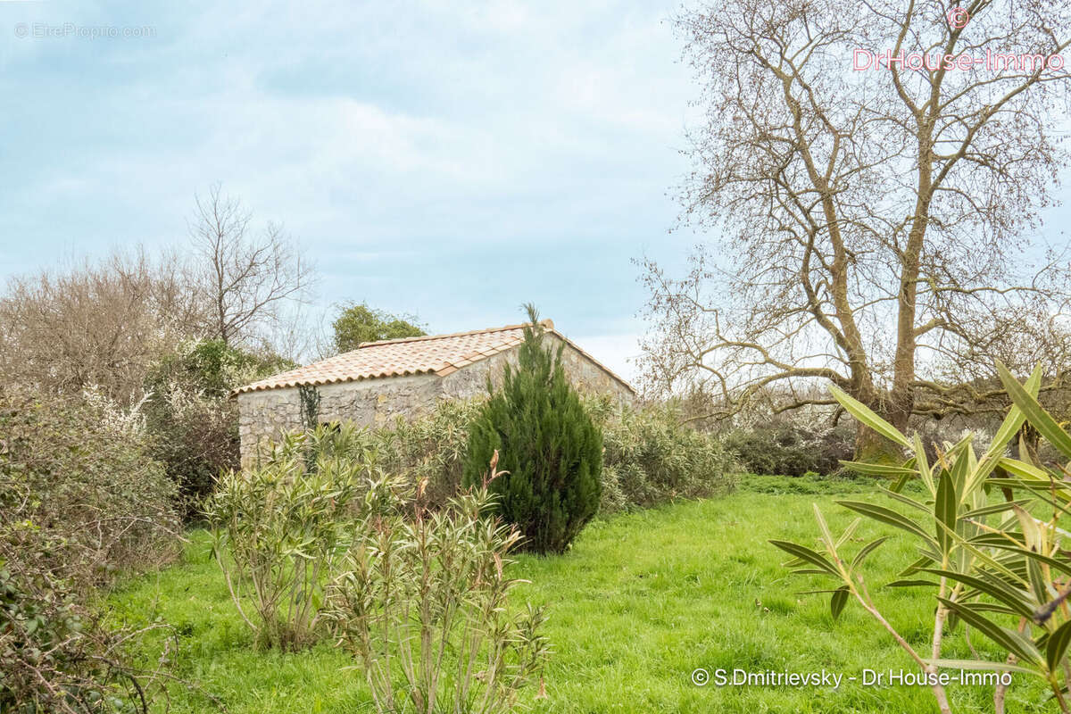 Maison 800 m² à Saint-Vivien-De-Medoc  - photo 25