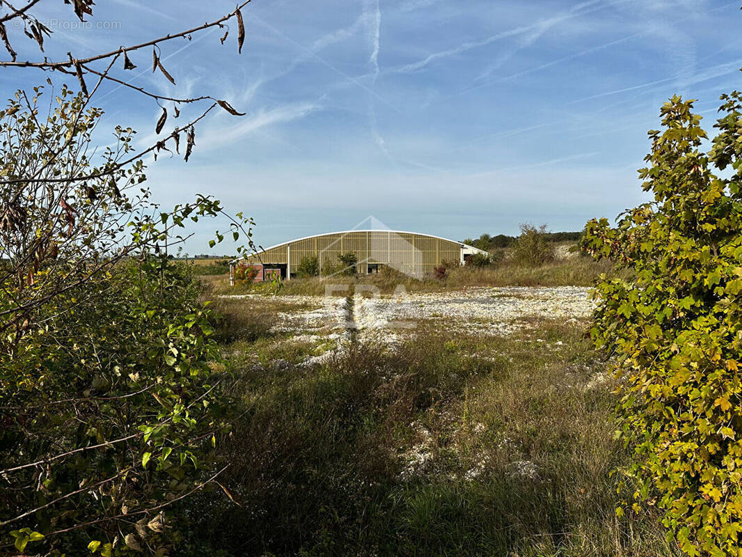 Terrain à BAUGY