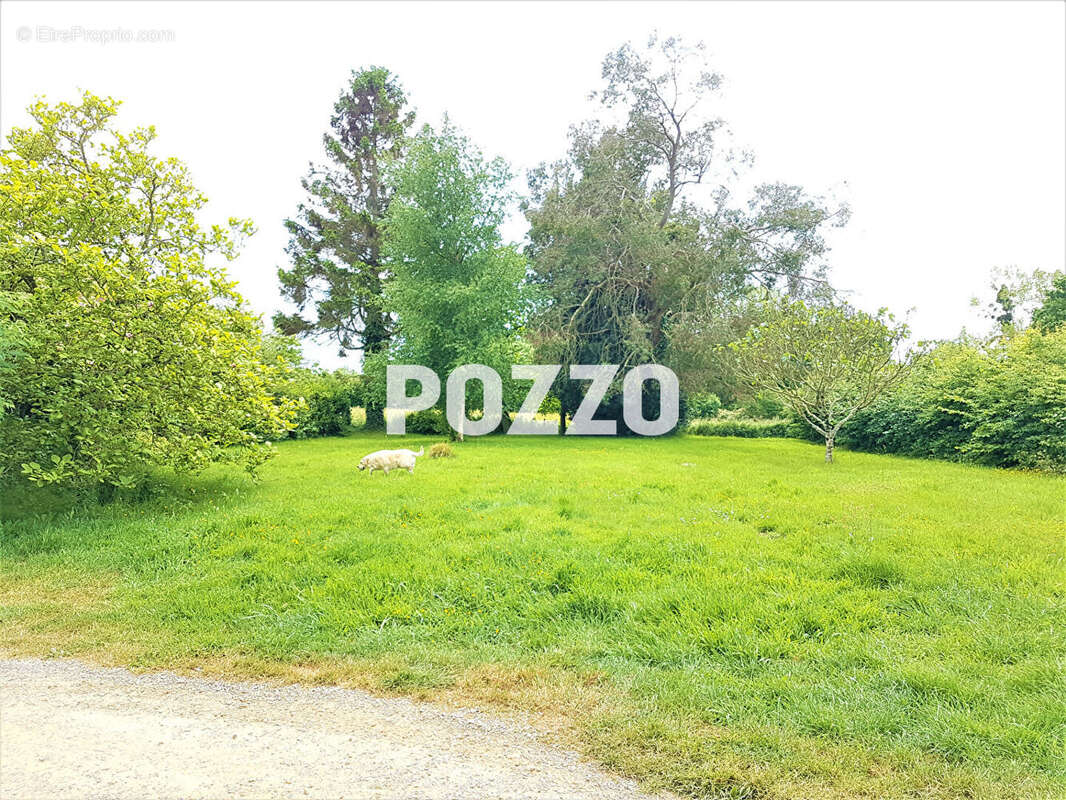 Maison à COUDEVILLE-SUR-MER