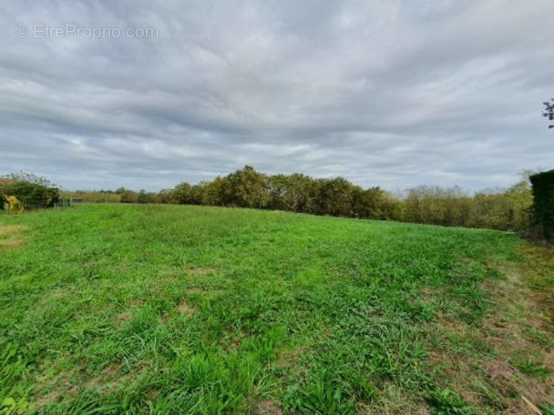 Terrain à HAGETMAU