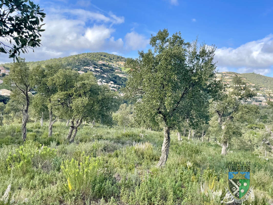 Terrain à LA LONDE-LES-MAURES