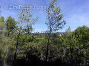 Terrain à SAINT-PONS-DE-MAUCHIENS