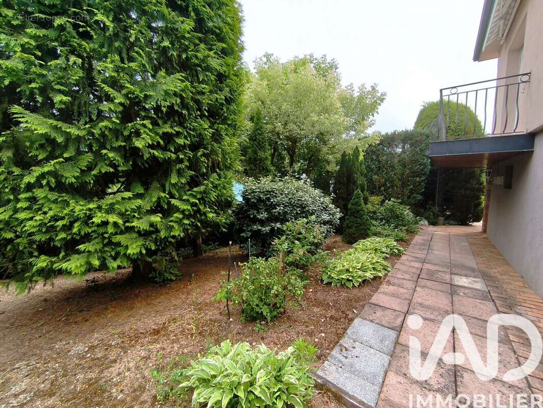 Photo 5 - Maison à LIEPVRE