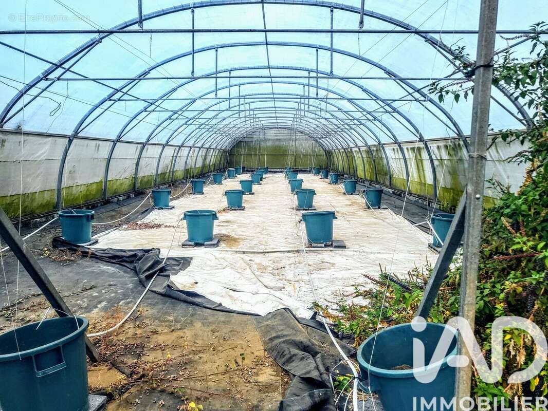 Photo 3 - Terrain à SAINT-PAUL