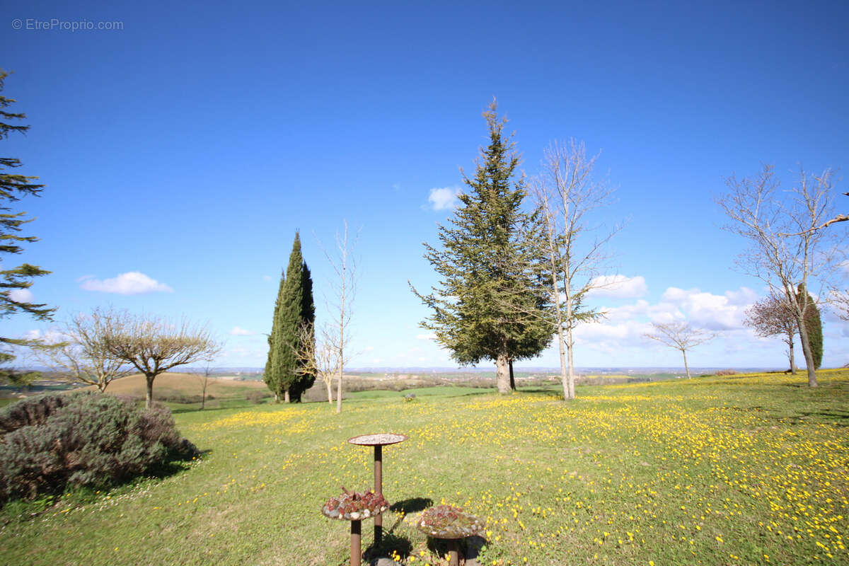 Maison à MONTESQUIEU-VOLVESTRE