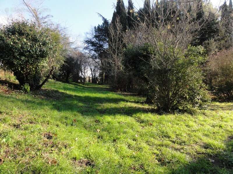 Terrain à VILLEPINTE