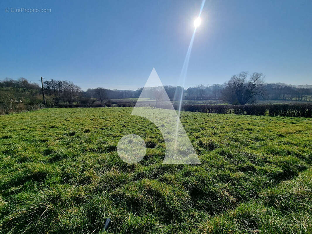 Terrain à SAINT-VALLIER