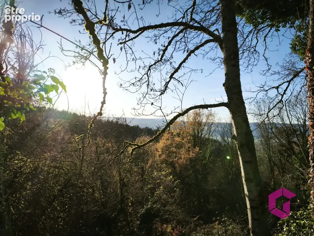 Jolie Chalet en Auvergne de 75 m2 sur terrain de 1474 m2 à 15mn d'Ambert - photo 2