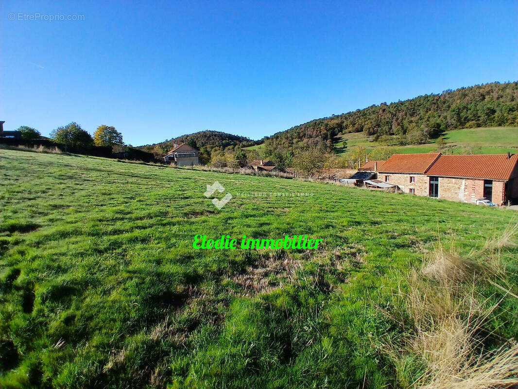Terrain à SAINT-LAURENT-CHABREUGES