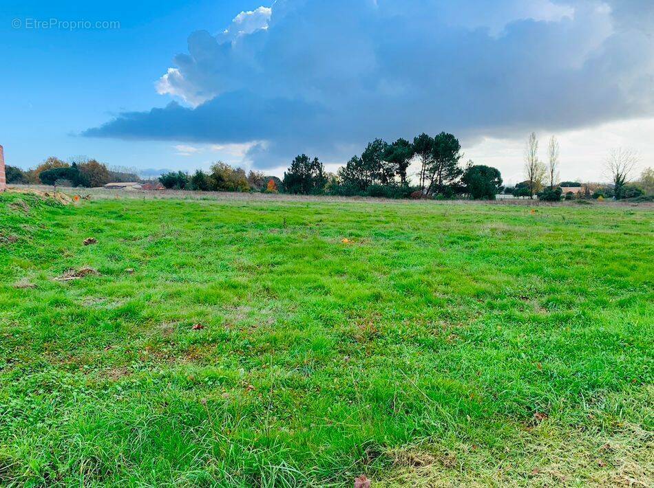 Terrain à SAINT-ANDRE-DE-CUBZAC