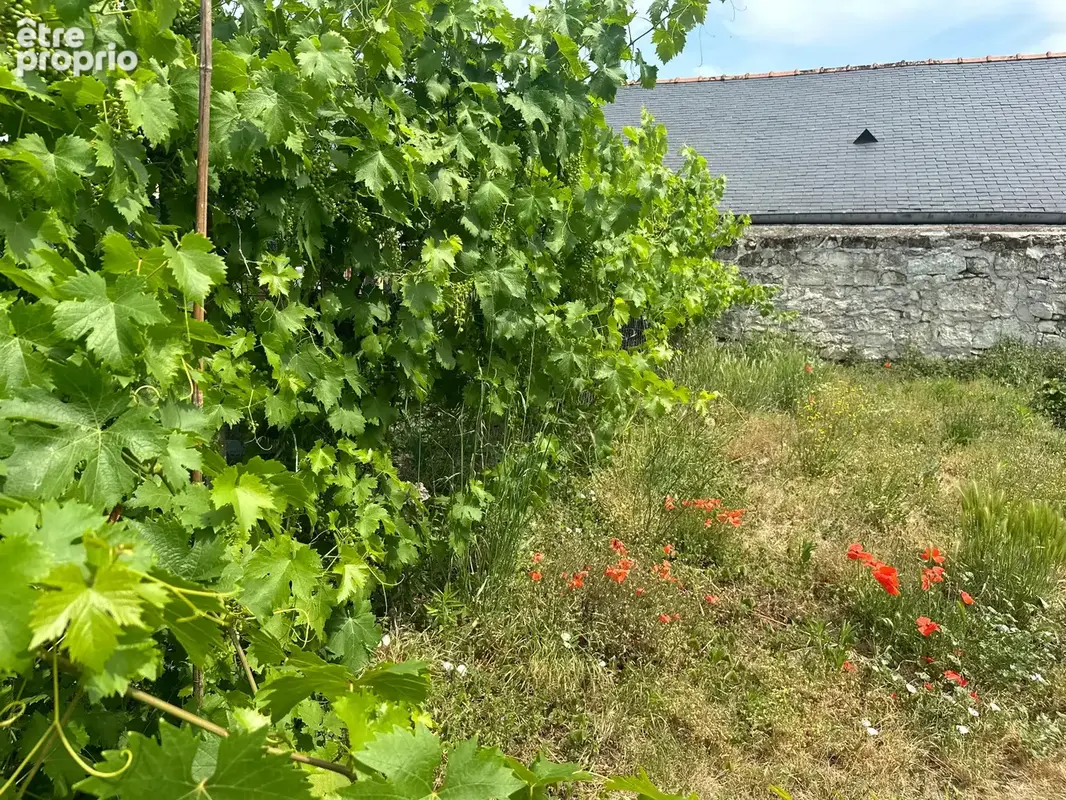 Saumur(49400) à 2,5km du coeur de ville, maison de 110m² entièrement restaurée - Garage - Jardin indépendant - photo 6