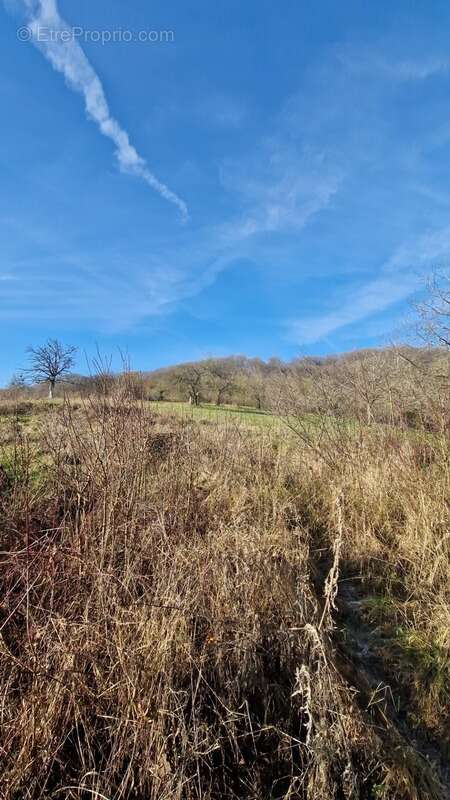 Terrain à bâtir - photo 3