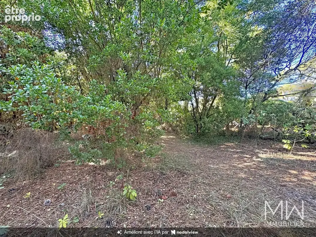 Terrain 1 000 m² à vendre à Lege-Cap-Ferret (33970) - photo 3