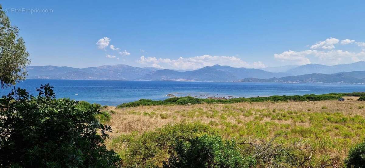 Photo 3 - Maison à CALCATOGGIO