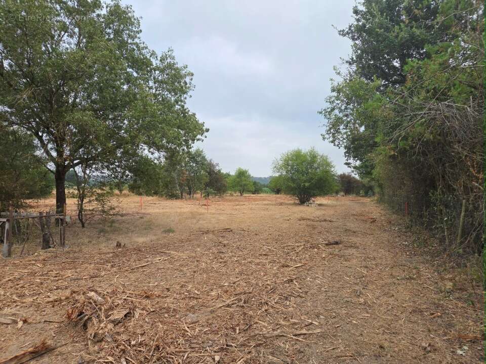 Terrain 550 m² à Roquettes  - photo 2