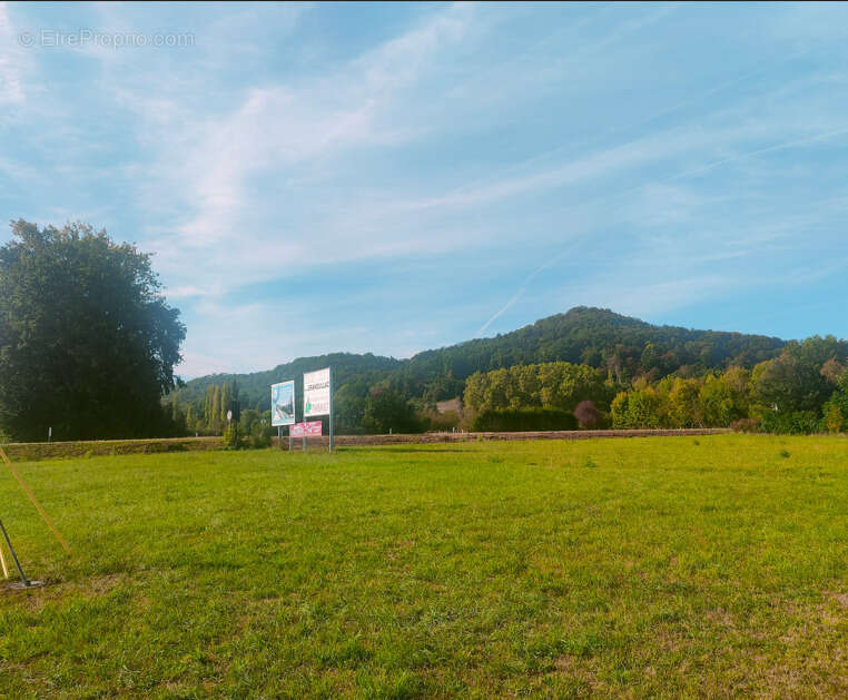 Terrain à PAZAYAC